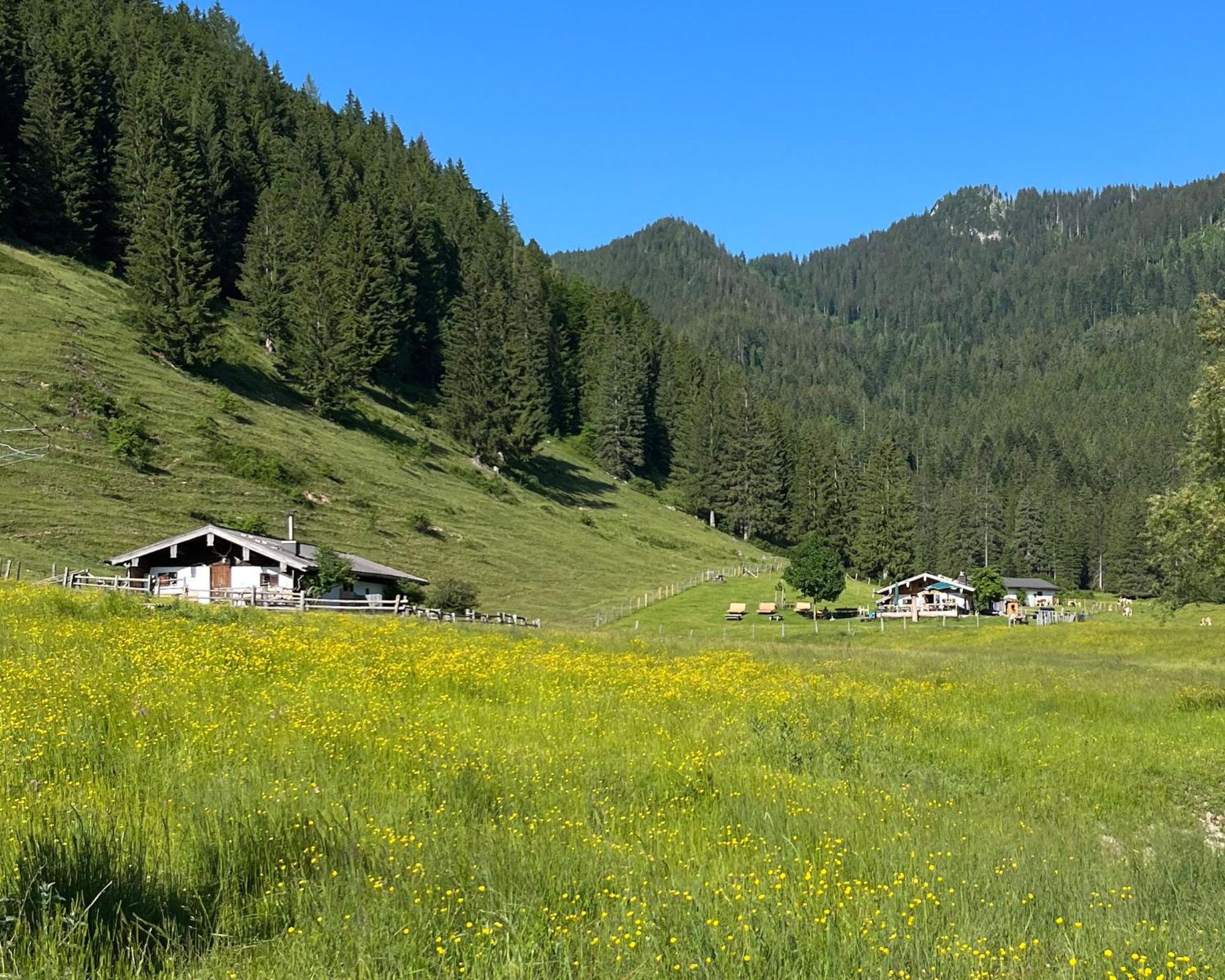 Ferienwohnung Gartenglück Traunstein Exterior foto